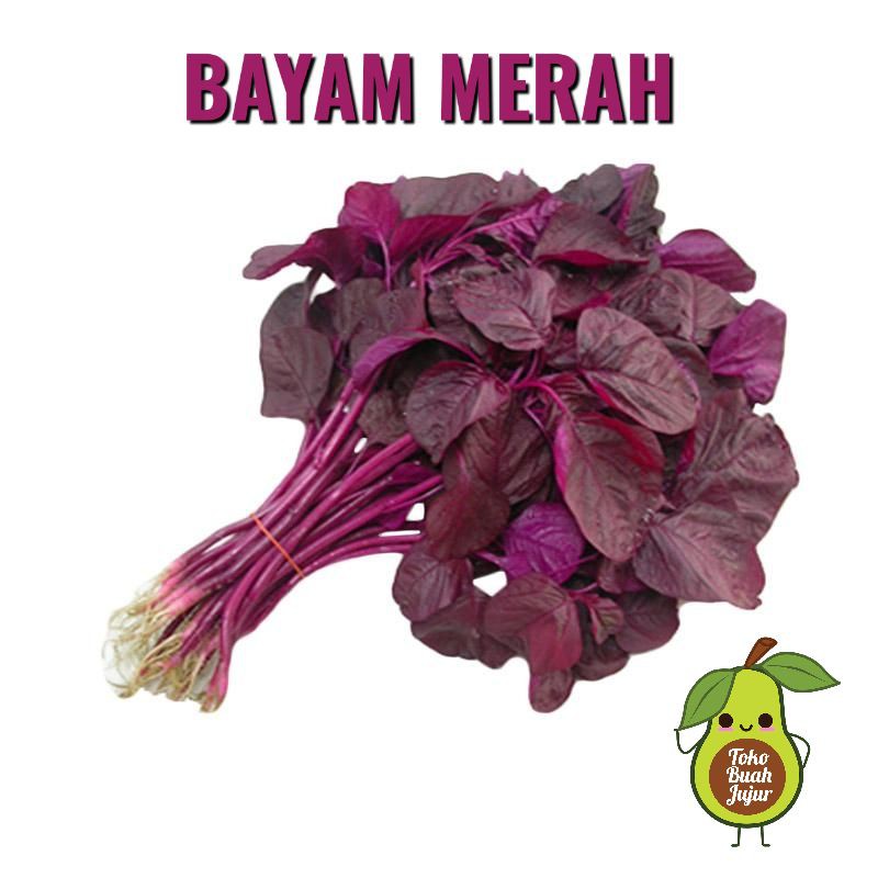

BAYAM MERAH FRESH