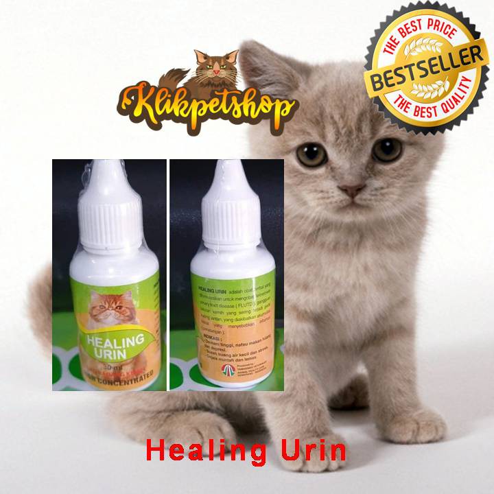 Healing Urin Anti Radang Kemih Kucing Sulit Buang Kecil