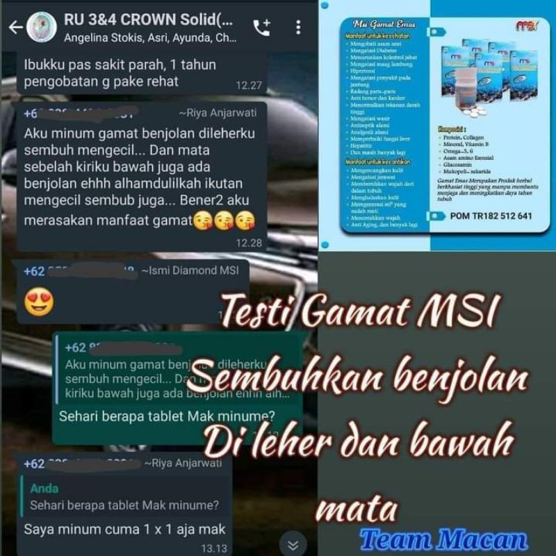 Gamat  teripang msi.
