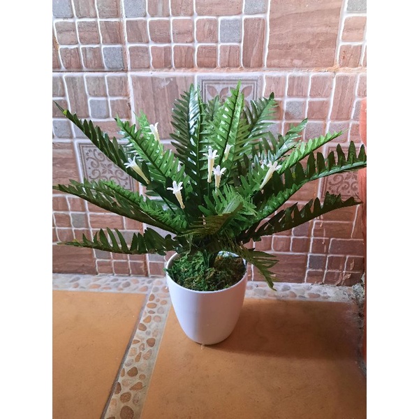 artifisial tanaman pakis bunga include pot melamin putih