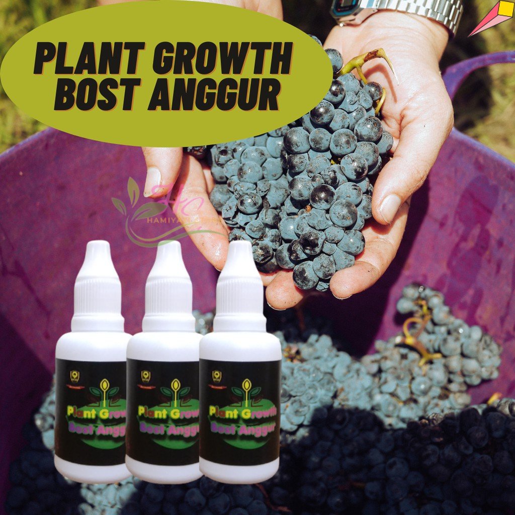 Hormon perangsang buah anggur, Vitamin pohon anggur