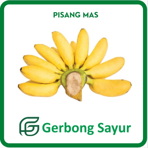 

Buah Pisang Mas Emas 1 Sisir Segar