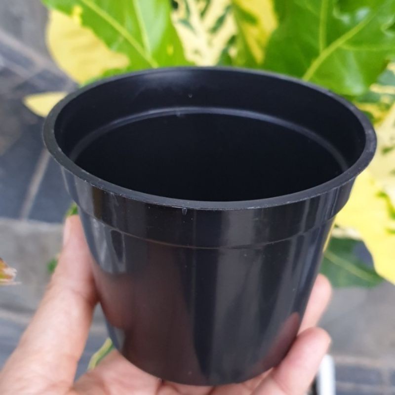 POT HITAM POLOS SRONDOL 10cm pot bunga plastik basic biasa size 10 pot kecil mini murah Pot Gol 10 Hitam