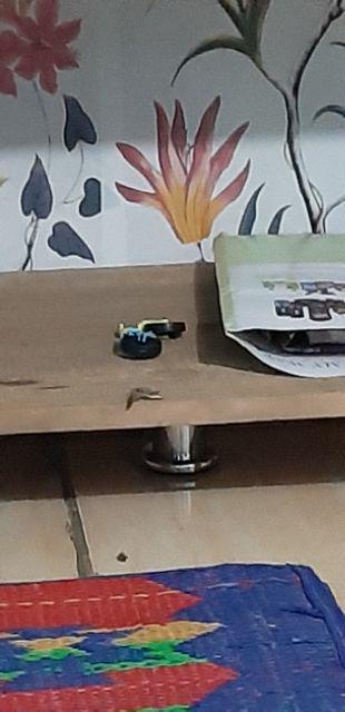 Kaki Sofa Model Tabung Minimalis Tinggi 10cm