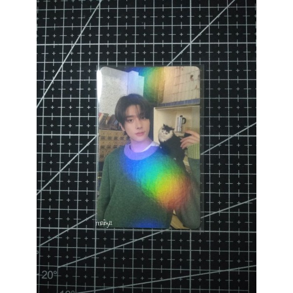 jake meong / chary holo