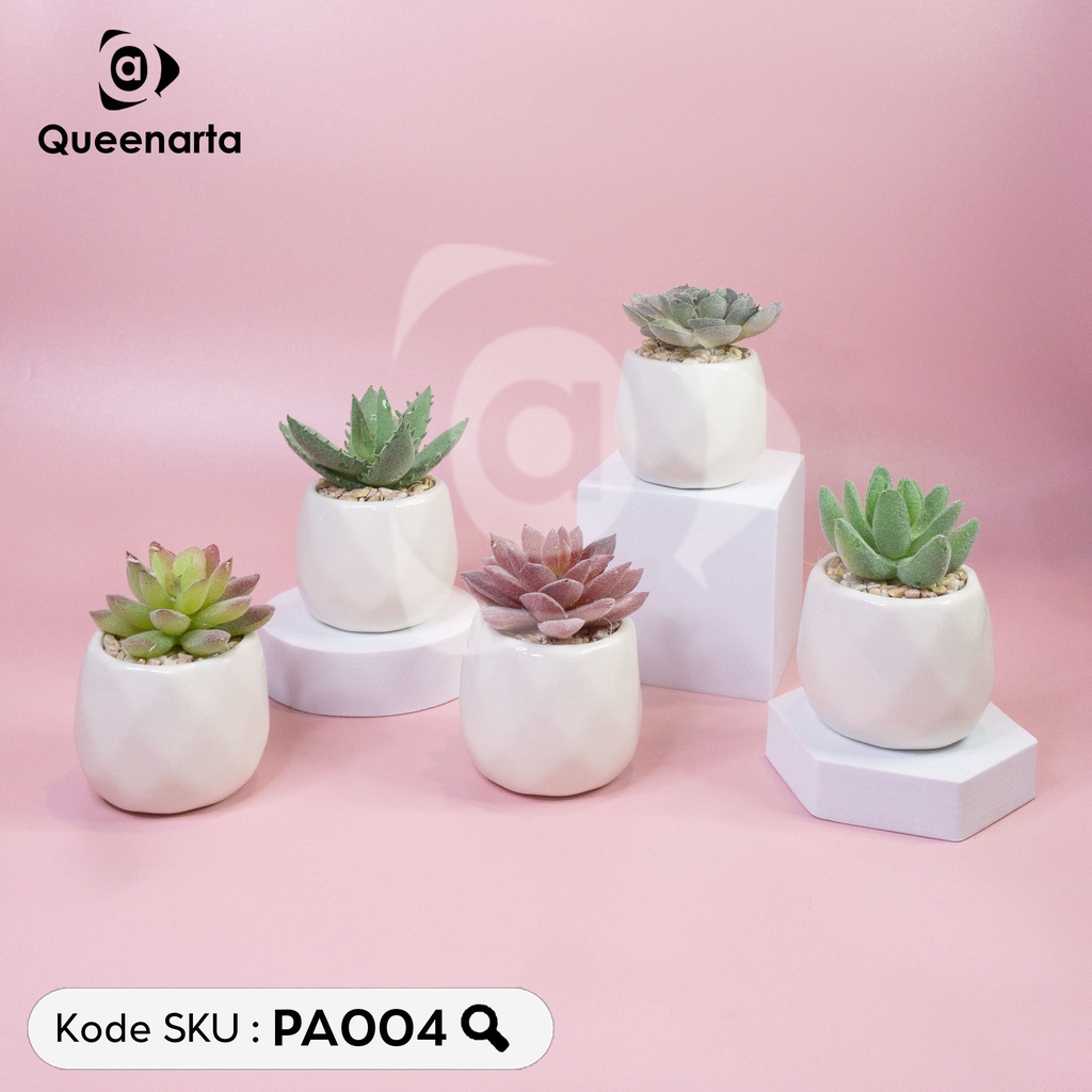 Queenarta Sukulen Mini Jenis Tanaman Kaktus dan Bunga Hias Plastik Pot Keramik Buat Dekorasi Rumah K