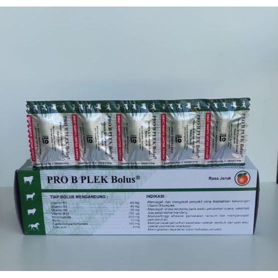 PRO B PLEK BOLUS 1 PCS RASA JERUK  - Vitamin B kompleks Hewan Sapi Kambing Domba