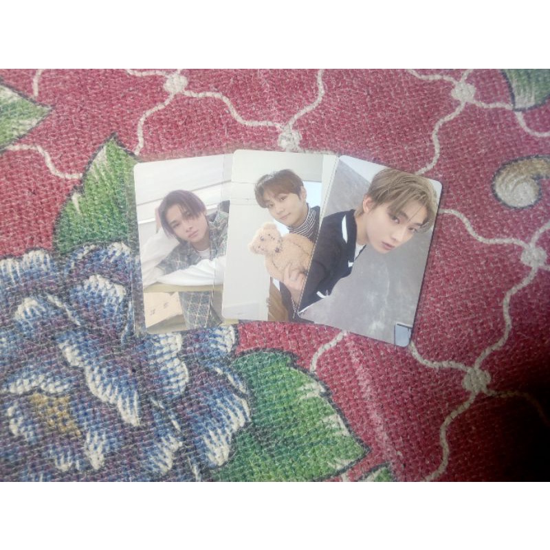 PC JUNGWON BONEKA HYPE KONSEP BUNDLE