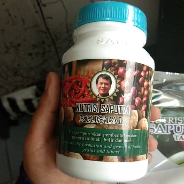 Nutrisi Saputra Kristal