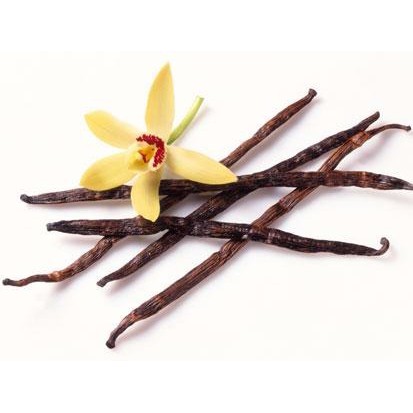 

Bibit Parfum Lambda French Vanilla Fragrance Oil 100cc