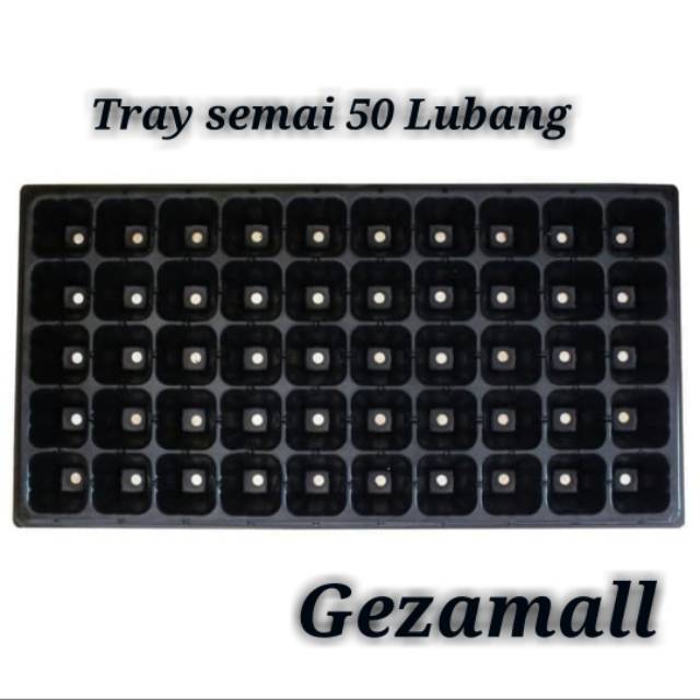 Tray semai 50 lubang