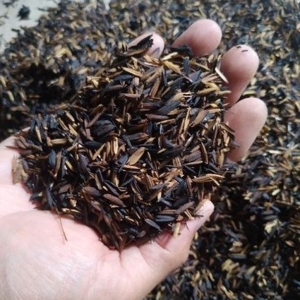 SEKAM SANGRAI / SEKAM OVEN PREMIUM 500gram