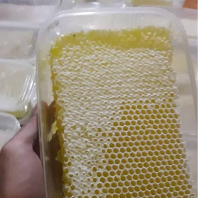 

madu sarang lebah naswa 100% garansi