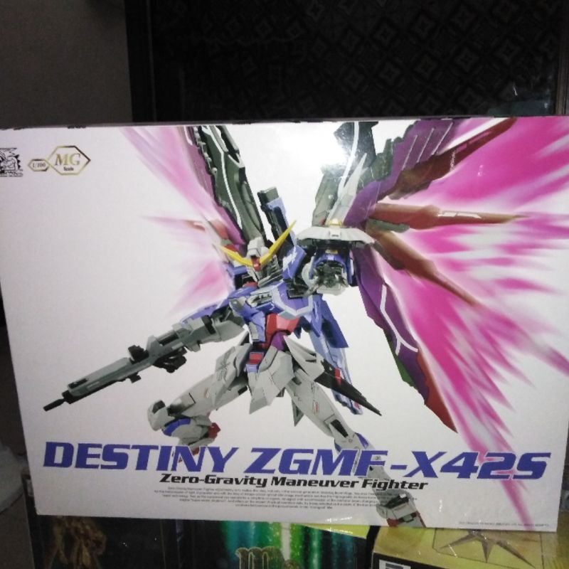 Gundam MG 1/100 Gundam Destiny Metal Build Ver Dragon Momoko
