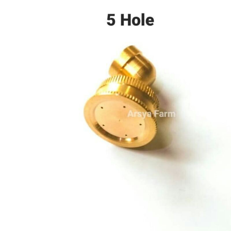 Nozzle Sprayer Pompa Swan Lubang 5 / Spuyer Kuningan
