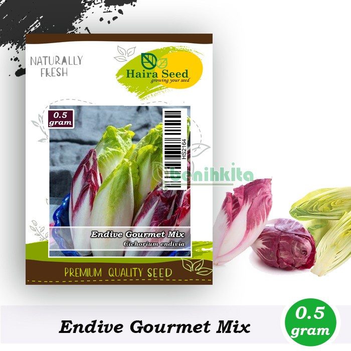 Benih-Bibit Chicory Endive Gourmet Mix (Haira Seed)