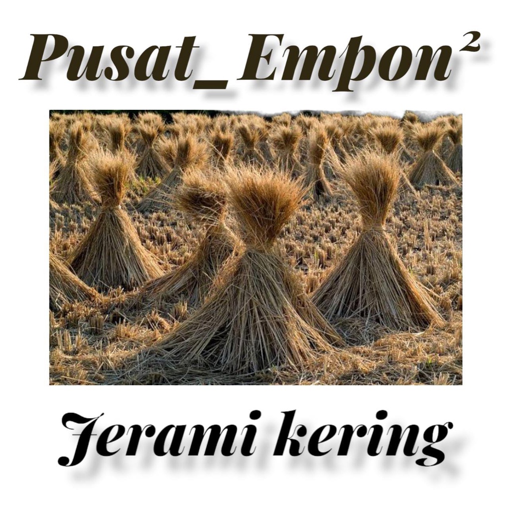 Jerami Kering 1 kg, Dami padi jerami kering