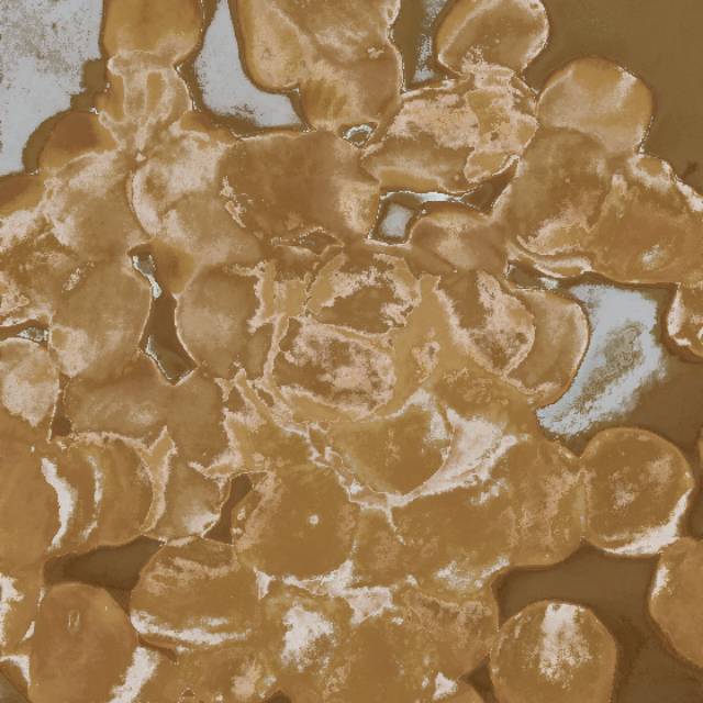 

Krupuk Uli Khas Madura enak gurih