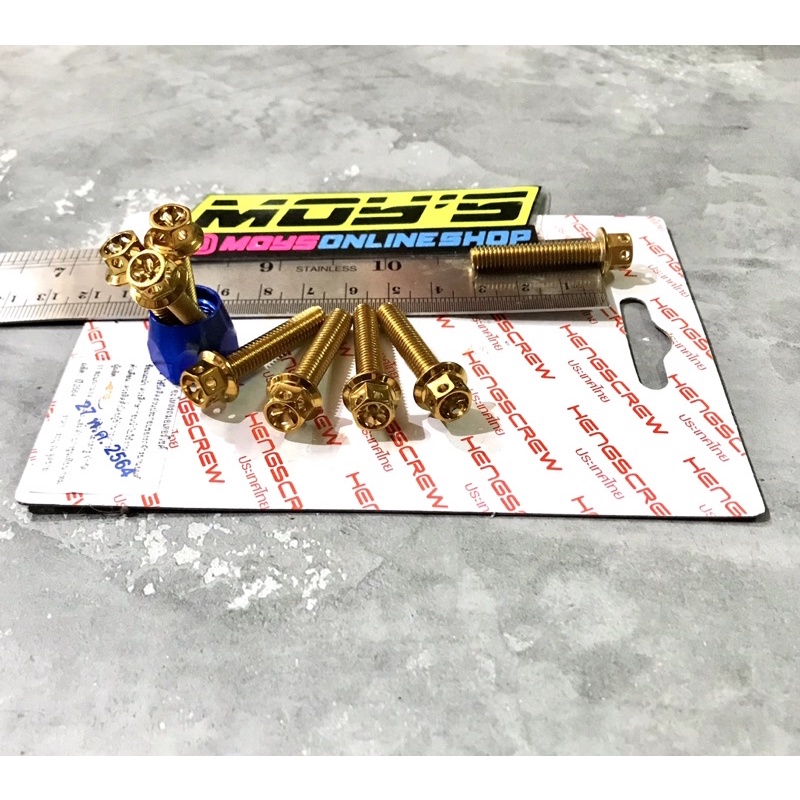 BAUT DRAT 14 TITANIUM BIG HEAD M10X10,15,23,30,35,40,50,60,70MM BOLT TITANIUM P TITANIUM