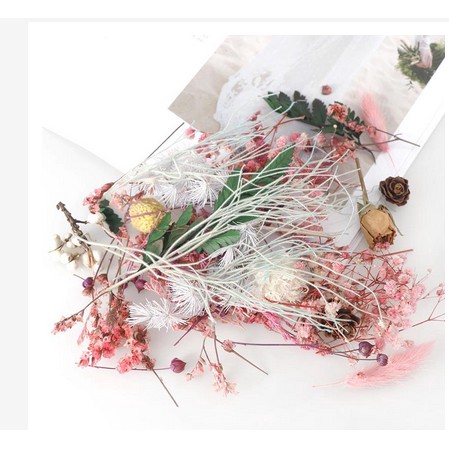 Various Dried Flower - Aneka Macam Bunga Kering (1box)