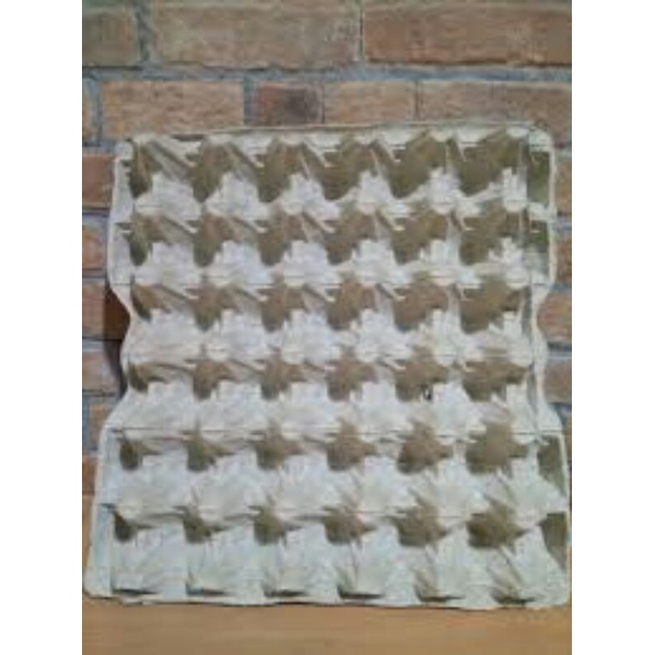 Tray telur bekas