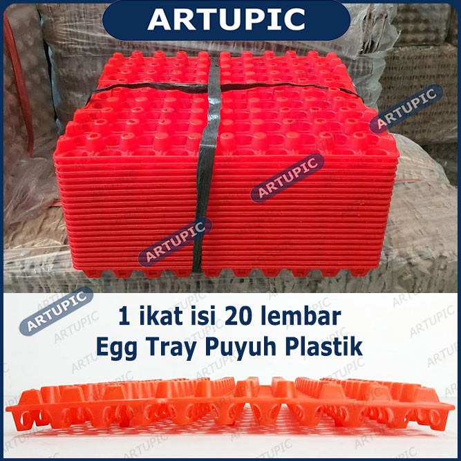 Egg Tray Puyuh Rak Tetas Tempat Telur Burung Puyuh Plastik