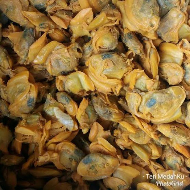 

BSM | TERMURAH Kerang Kepah Asli Medan / Kerang Kecil Asin / Kepah Medan 100gr - 1kg | Sayur online