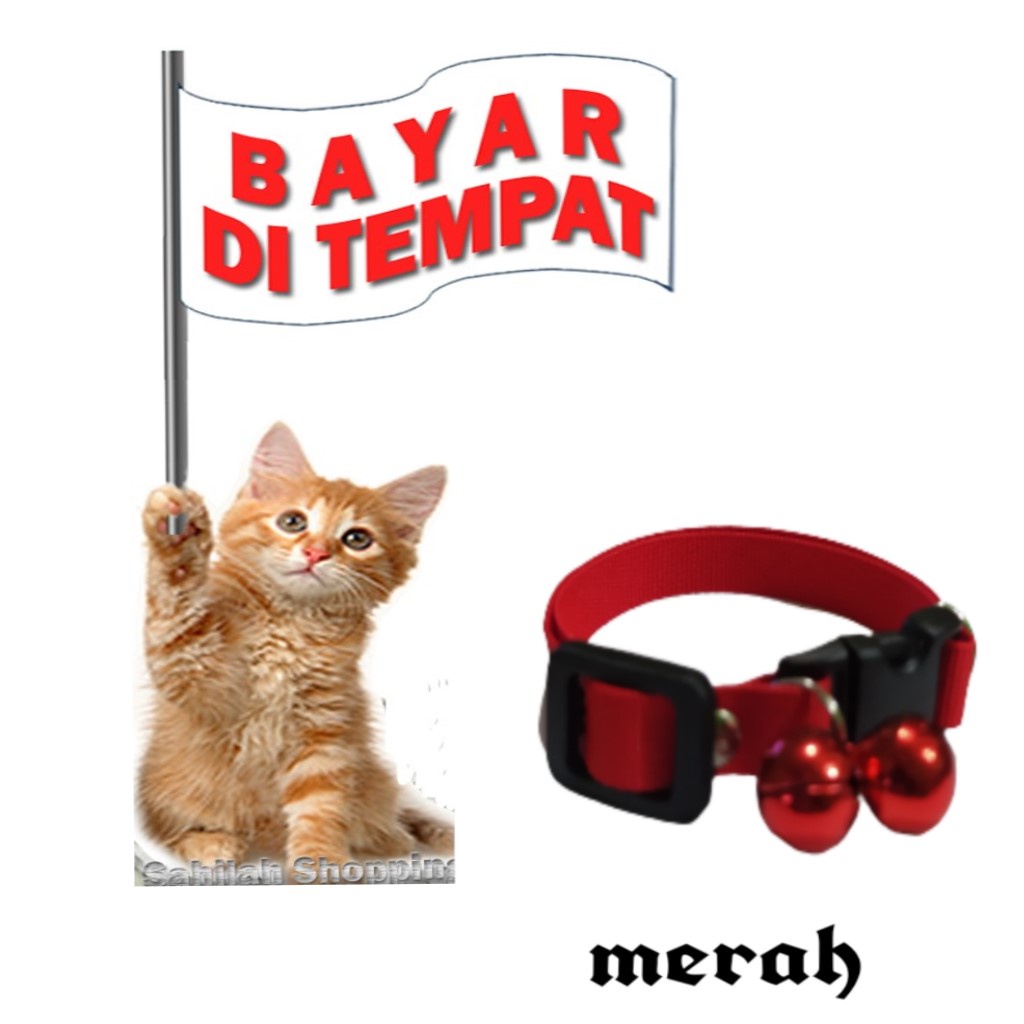 KALUNG KUCING ANJING MUSANG POLOS DOUBLE LONCENG READY STOCK