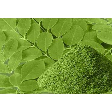 

SERBUK / TEPUNG / BUBUK DAUN KELOR /MORINGA OLIEFERA ORIGINAL)