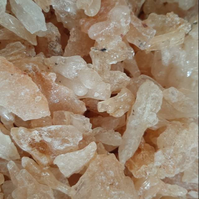 Getah Damar Asli Alami GDA01