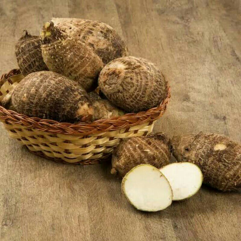 

mbothe atau umbi talas 500gram