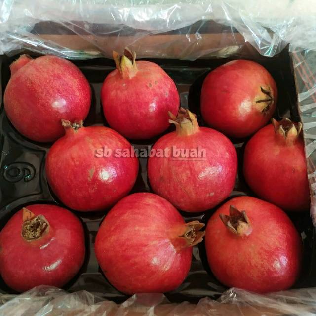 Buah Delima Merah Import Shopee Indonesia