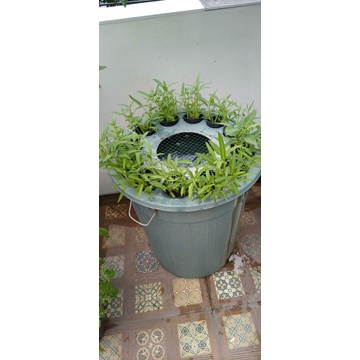 paket budikdamber full set