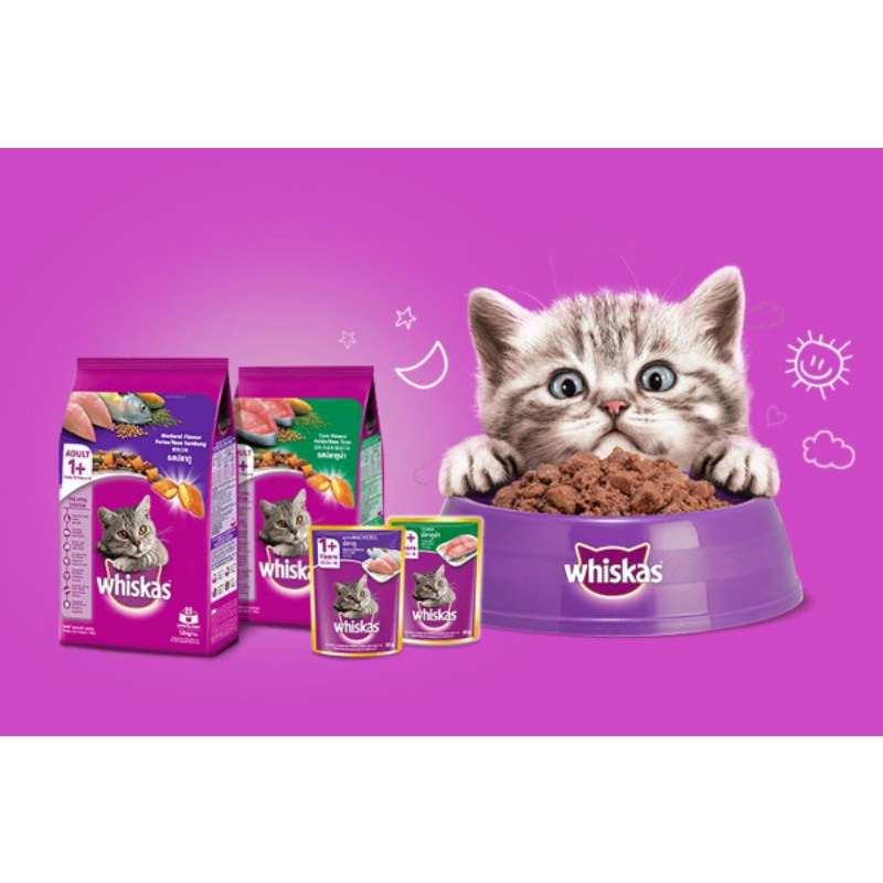 

Makanan Anak Kucing