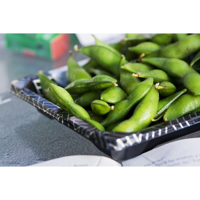 

PROMO TERMURAH Bibit / Benih / Seeds Edamame Jepang Penuh Manfaat PROMO SALE