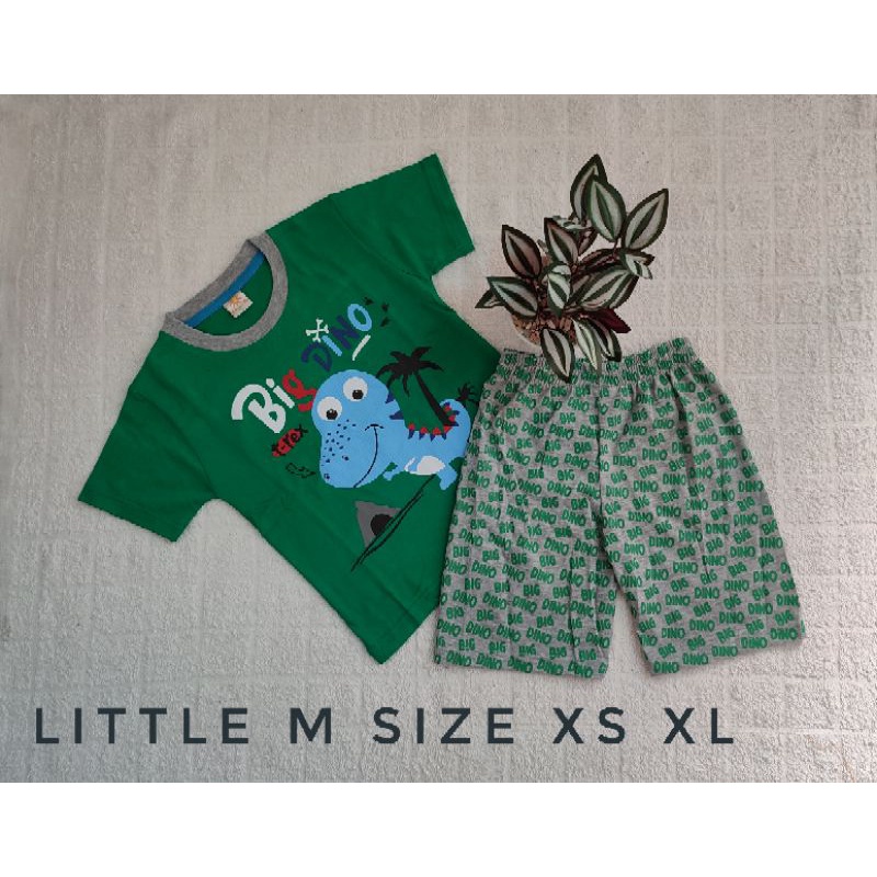 SETELAN LITTLE M