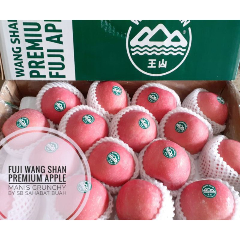 

Buah apel wang shan premium