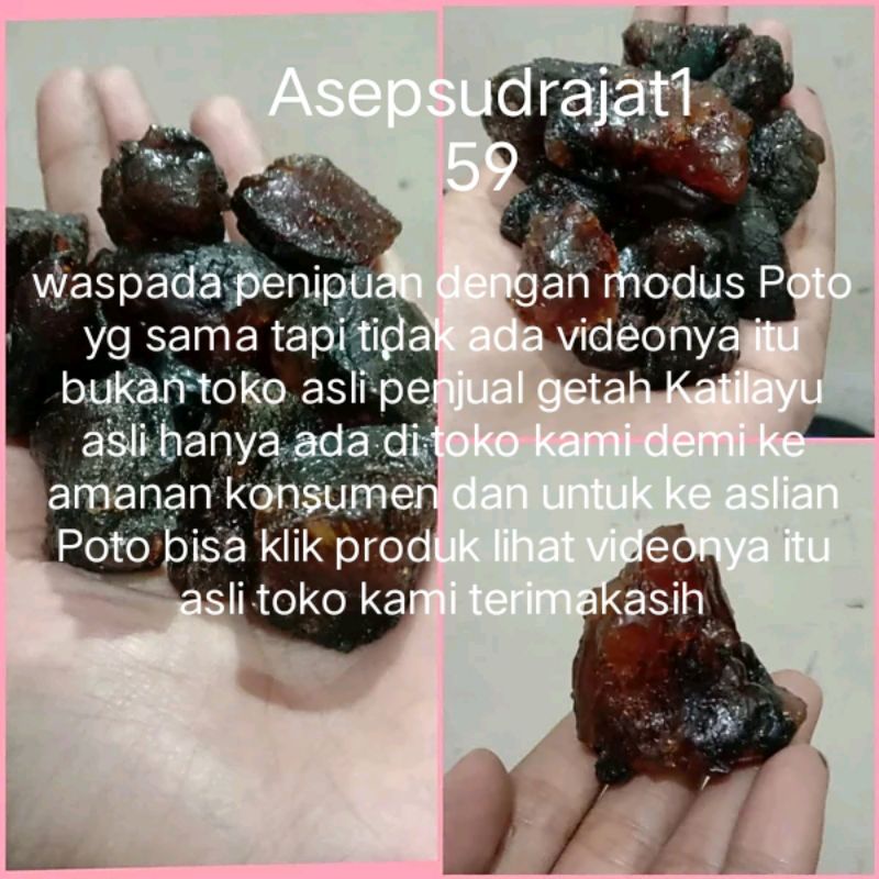 GETAH KATILAYU 100%ASLI /BAHAN ESSEN KATILAYU BUAT MANCING IKAN TAWAR/LAUT