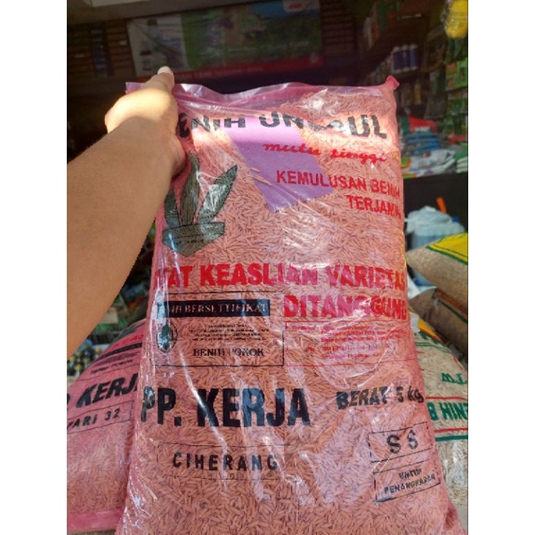 Benih Padi Ciherang PP Kerja Bersertifikat 5kg