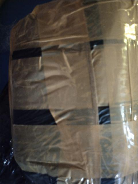 Bibit Biji Palem Merah Lipstick Palm