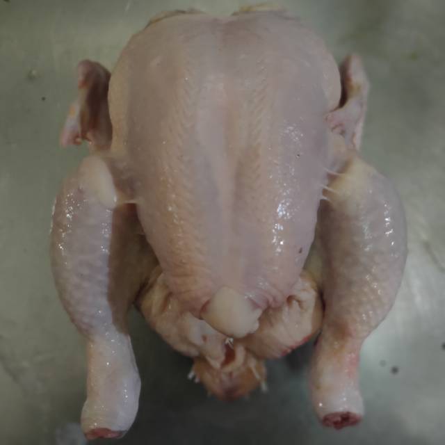 ayam utuh 1.3-1.4