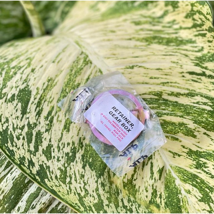 [1 PCS] RING GIGI GEARBOX KILOMETER SPEEDOMETER HONDA GL 100 GLK MERK ACAK RING GEAR SPEEDOMETER