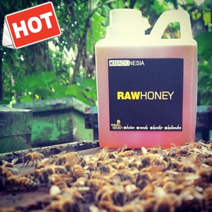 

SALE Madu Budidaya Ternak Randu Nektar Bunga Lebah Tawon Asli Murni Murah Diskon Berkualitas