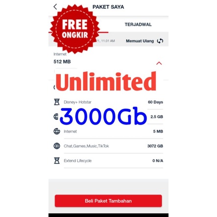 Telkomsel Unlimited 3000gb