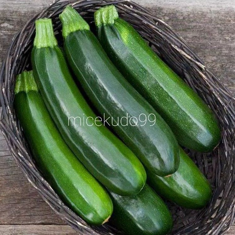 

FRESH ZUCCHINI GREEN 500 GRAM / ZUCHINI SUKINI HIJAU SEGAR SAYUR