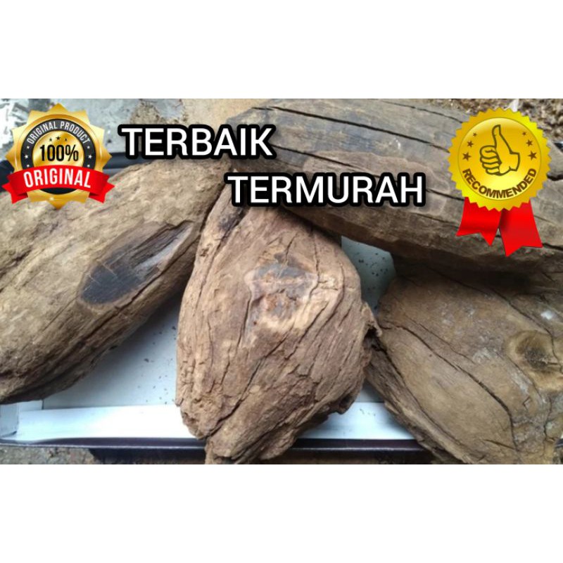 (Bisa COD) Bongking/Bongkahan Gaharu Buaya 1000% Alami Asli Kalimantan 1kg