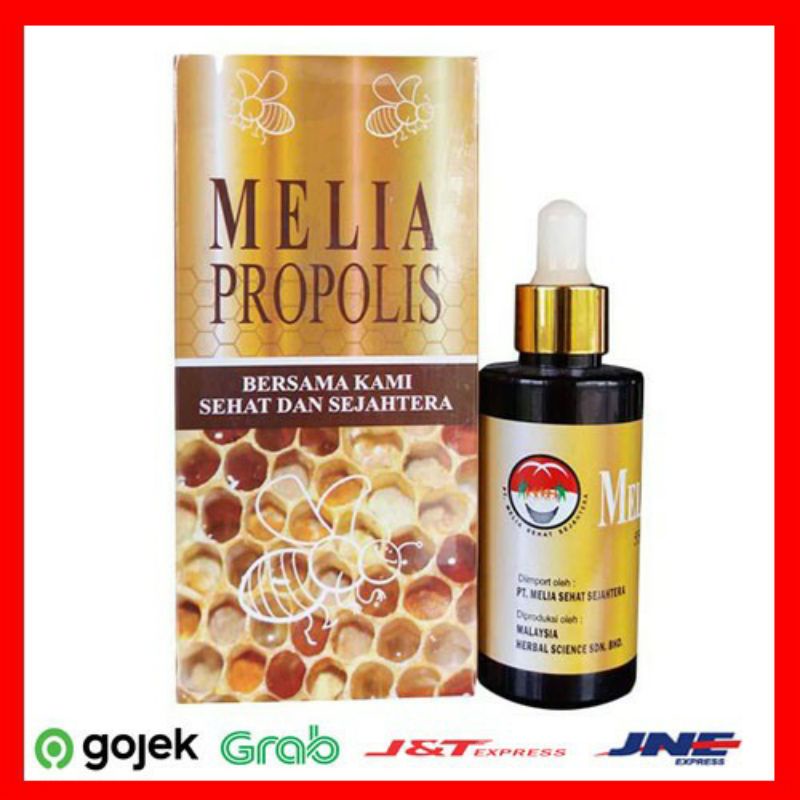 

MELIA PROPOLIS