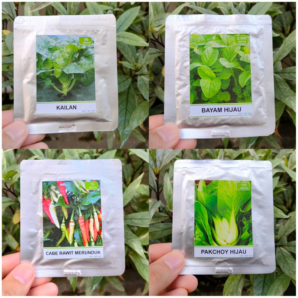 benih sayur dan benih buah repack seed - ANEKA RS - benih sayuran - benih cabe - benih selada - benih tomat - benih terong - benih labu - benih mentimun - benih wortel