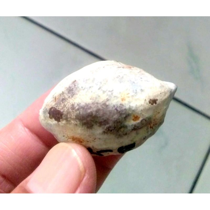 Muncang Adu Nyonyo Asrofik Ori Full Tua