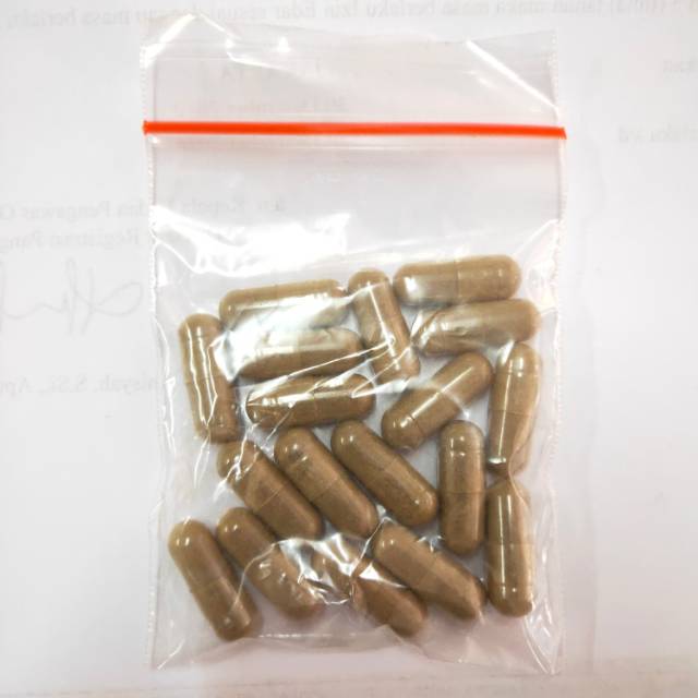 Kapsul Cacing Asli - Untuk Tipes